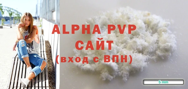 винт Инсар