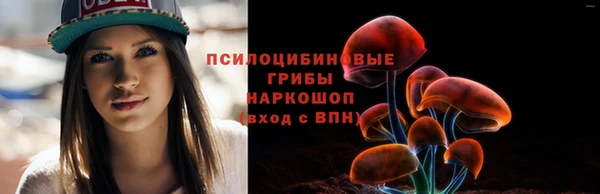 винт Инсар