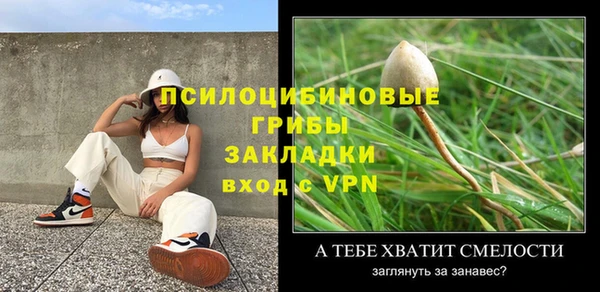 винт Инсар