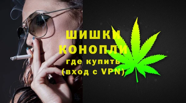 винт Инсар